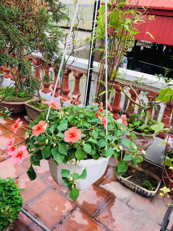 Lee'S Family Homestay ハノイ市 エクステリア 写真