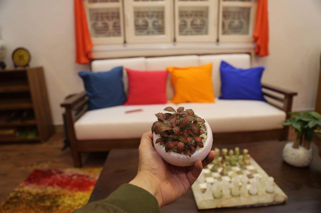 Lee'S Family Homestay ハノイ市 エクステリア 写真